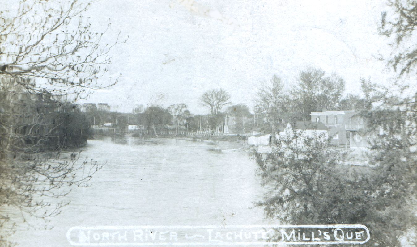 La collection du Comte d'Argenteuil The collection of Count of